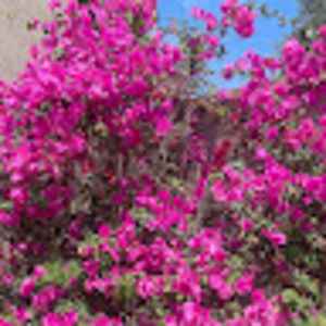 Meet your Posher, Sofia